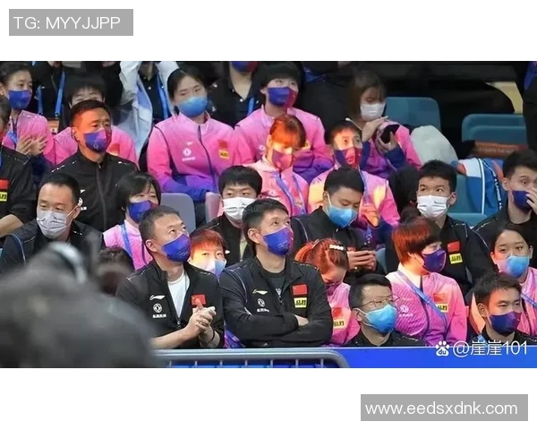 重庆乒乓球队转型之路的真实记录与发展历程探讨