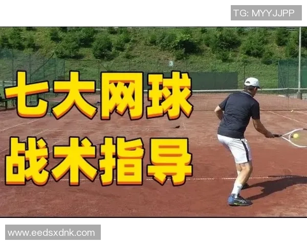 杭州网球队进攻策略解析与战术创新探讨